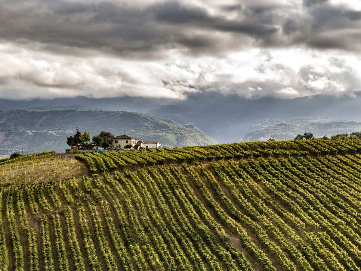 Riscrivere il futuro aziendale: l'importanza dei perché