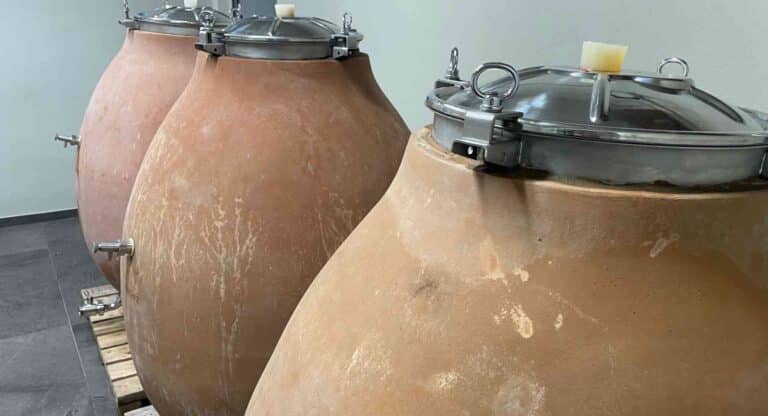 anfora, il ritorno di un antico splendore per vini autentici