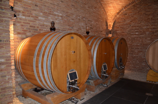 anidride solforosa nei vini