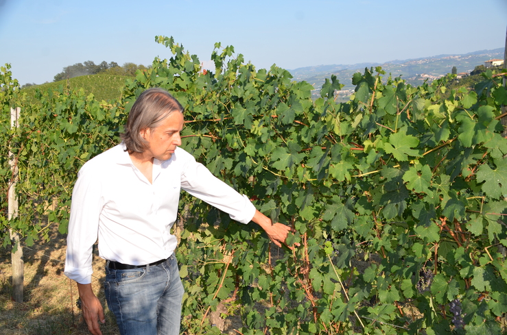Cambio Climatico in Vigna: Andrea Paglietti